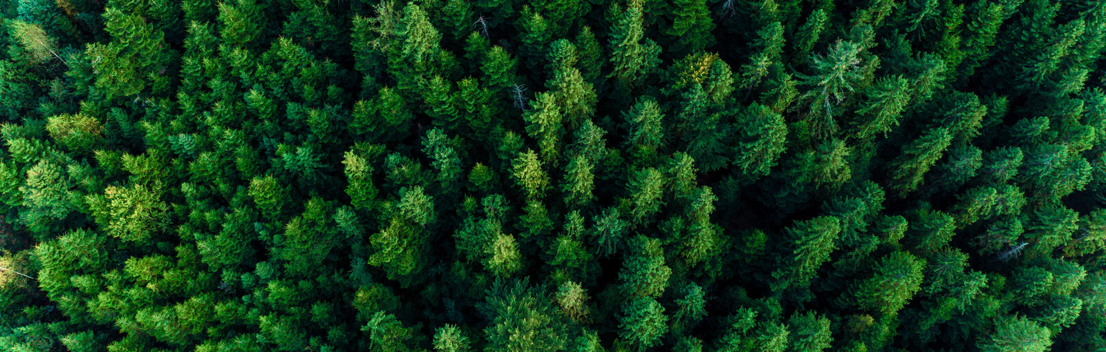 Nachhaltigkeit bei AUCOTEC